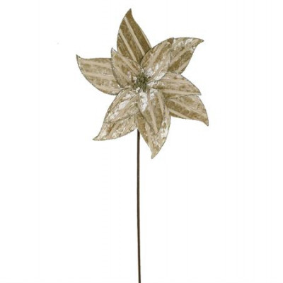 1761295636569photosmall (23).jpeg